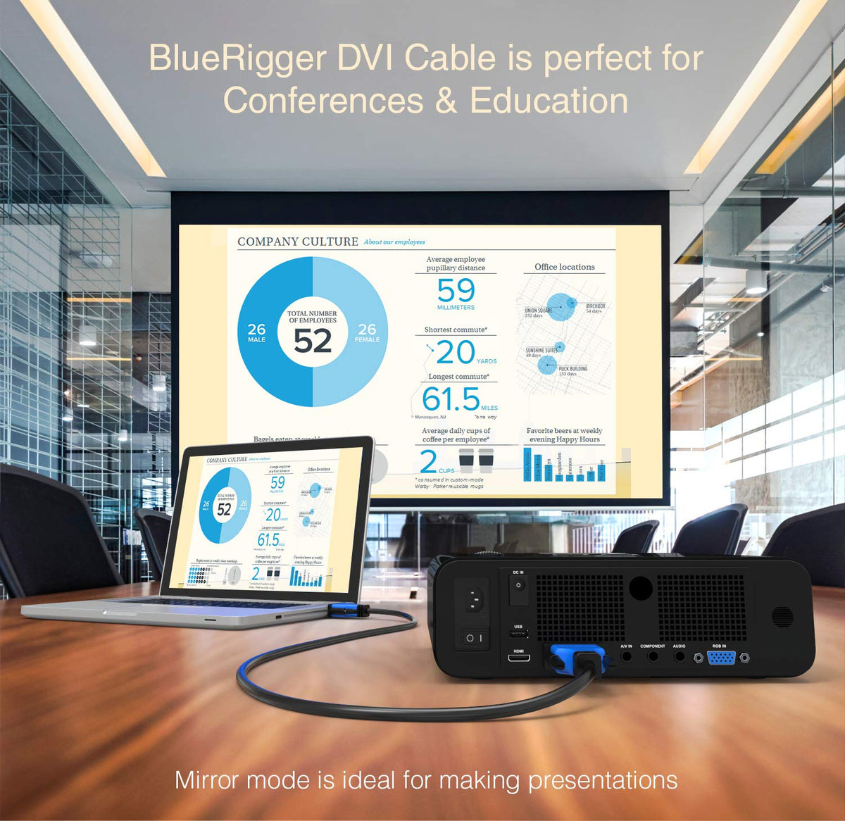 DVI to DVI Cable 10FT (DVI-D Cable, Gold Plated)