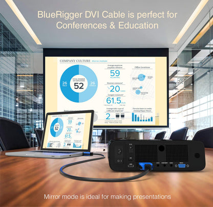 DVI to DVI Cable 10FT (DVI-D Cable, Gold Plated)